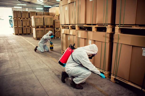 Best Best Pest Control Companies  in Haleiwa, HI